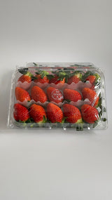 Premium Jukhyang Strawberries 죽향딸기  - 500g / 15pcs /1 Layer