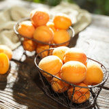 Korean Honey Apricots 살구 (Sal-gu) - approx. 700g