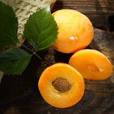 Korean Honey Apricots 살구 (Sal-gu) - approx. 700g