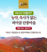 Premium Gift Set Korean Special Sauces 지리산 프리미엄 고로쇠 장류 선물세트