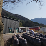 Deliver 17 Oct. Cheong Myeong Ju 청명주 375ml