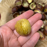 Deliver 7 Nov. (Pre-Order) Korean Fresh Chestnuts "Ok-Kwang-Bam" 옥광 밤 - approx. 1kg