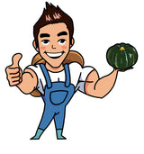 Deliver 31 Oct. (Pre-Order) Haenam Mini Chestnut Pumpkin 미니밤호박 - approx. 1kg