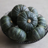Deliver 31 Oct. (Pre-Order) Haenam Mini Chestnut Pumpkin 미니밤호박 - approx. 1kg