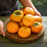 DanGam Sweet Persimmon 단감  8pc 2Kg