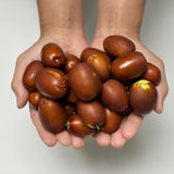 Premium Korean Dates 보은 대추 1KG