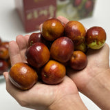 Premium Korean Dates 보은 대추 1KG