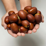 Premium Korean Dates 보은 대추 1KG