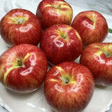 Premium Korean Apples 감홍 사과 3KG 7~9pc
