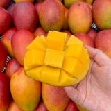 Jeju Apple Mango 제주 애플 망고 - approx. 3kg