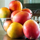 Jeju Apple Mango 제주 애플 망고 - approx. 3kg