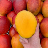 Jeju Apple Mango 제주 애플 망고 - approx. 3kg