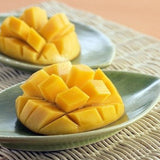 Jeju Apple Mango 제주 애플 망고 - approx. 3kg