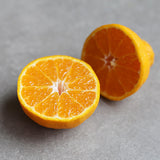 Premium Korean Hallabong 한라봉 2kg