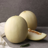 Korean BaekJa Melon 백자멜론 - approx. 1.4~1.8kg