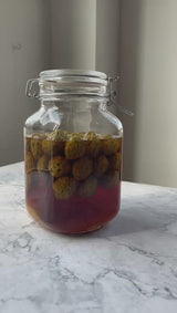 Deliver From 4 July. Make Your Own Maesil Cheong (Green Plum Syrup) Kit 매실청키트