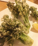 Korean Charm-Dureup 참두릅 (지리산 자연산) - 500g