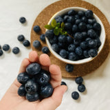 Premium Korean Blueberries 블루베리 10x1kg