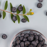 Premium Korean Blueberries 블루베리 10x1kg