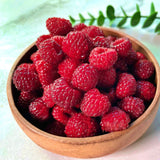 Korean Bokbunja Wildberry 산딸기  - 250g