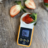 Premium Jukhyang Strawberries 죽향딸기  500g/2 layers/24pc