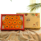 Premium CheonHyeHyang 천혜향 3kg 8~13pcs