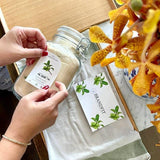 Deliver From 4 July. Make Your Own Maesil Cheong (Green Plum Syrup) Kit 매실청키트