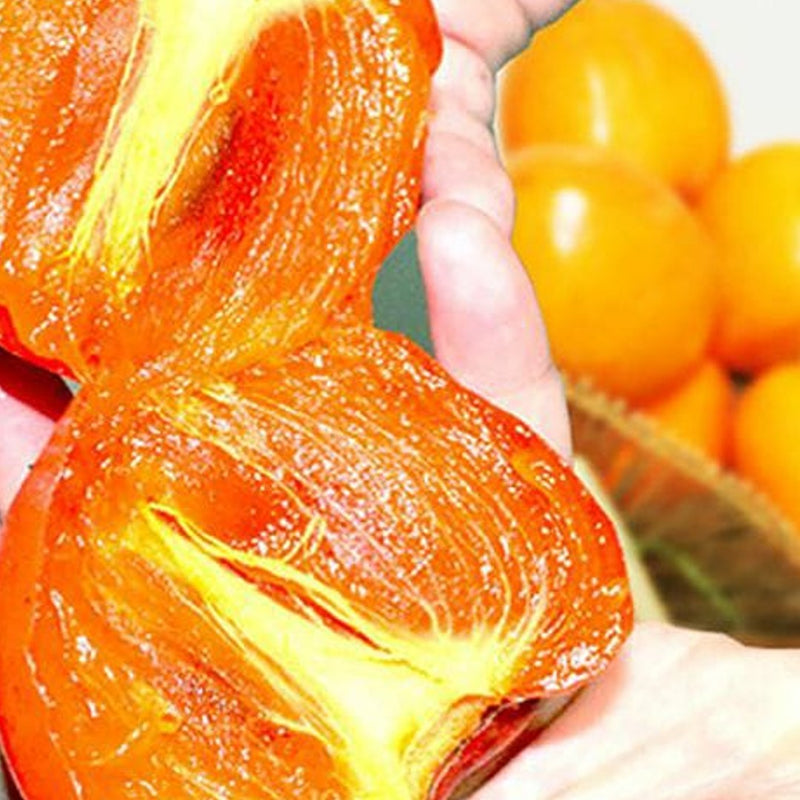 Fresh Persimmons (Dae-Bong-Kam) 대봉감 - 4pc/punnet Approx. 1kg