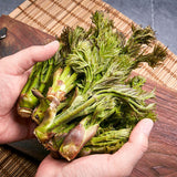 Korean Charm-Dureup 참두릅 (지리산 자연산) - 500g