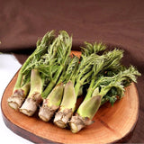 Cham-Dureup 참두릅