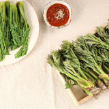 Korean Charm-Dureup 참두릅 (지리산 자연산) - 500g