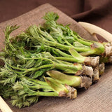 Cham-Dureup 참두릅