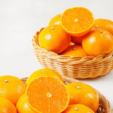 Premium CheonHyeHyang 천혜향 3kg 8~13pcs