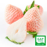 Premium Korean Snowberry 만년설딸기 500g/15pc/Punnet