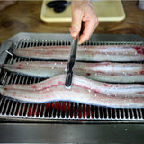 Deliver 31 May. (Pre-Order) Korean Premium Pungcheon eels 풍천장어 (2~3pcs) - Approx. 1kg