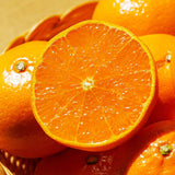 Premium CheonHyeHyang 천혜향 3kg 8~13pcs