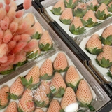 Premium Korean Snowberry 만년설딸기 500g/15pc/Punnet