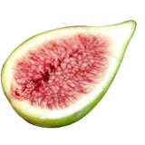 Premium Korean Muhwadam Organic Fresh Green Figs 오가닉 청무화과 - approx. 600g