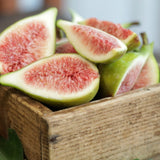 Premium Korean Muhwadam Organic Fresh Green Figs 오가닉 청무화과 - approx. 600g