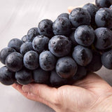 Kyoho Grapes