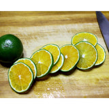 Make your own Chung-Gyul-Cheong 청귤청키트 (Green tangerine syrup) kit