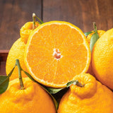 Premium Jeju Hallabong Mandarin (한라봉) 3kg