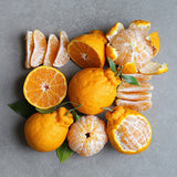Premium Jeju Hallabong Mandarin (한라봉) 3kg