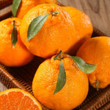 Premium Jeju Hallabong Mandarin (한라봉) 3kg