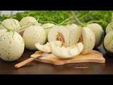 Korean BaekJa Melon 백자멜론 - approx. 1.4~1.8kg