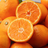 Jeju tangerine