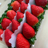Premium Jukhyang Strawberries 죽향딸기  - 500g / 15pcs /1 Layer