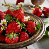 Premium Jukhyang Strawberries 죽향딸기  - 500g / 15pcs /1 Layer