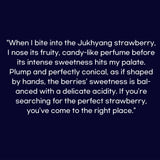 Premium Jukhyang Strawberries 죽향딸기  - 500g / 15pcs /1 Layer