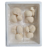 Lion's mane mushroom